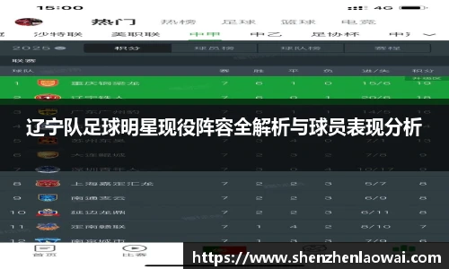 辽宁队足球明星现役阵容全解析与球员表现分析
